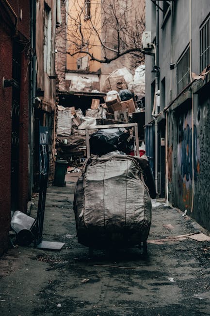 A narrow urban alley with a concrete and asphalt surface, cluttered with a large, weathered black trash bag and a gray rolling shopping trolley in the foreground. Behind these, there are multiple piles of discarded cardboard boxes, plastic bags, and miscellaneous waste materials stacked haphazardly on a wooden pallet and against a backdrop of rusted metal and concrete walls. The right wall features graffiti and barred windows, while the left side has a dark, peeling surface with some graffiti visible. Bare tree branches extend overhead, indicating an outdoor environment during late autumn or winter. The scene is lit by natural daylight, giving a muted and somewhat gritty appearance, indicative of an area designated for waste collection, possibly related to private rubbish removal or on-site clearance services by Waste Collection Pimlico. The overall scene emphasizes the chaos of unmanaged rubbish accumulation in urban alleyways, highlighting the importance of proper waste handling and disposal.