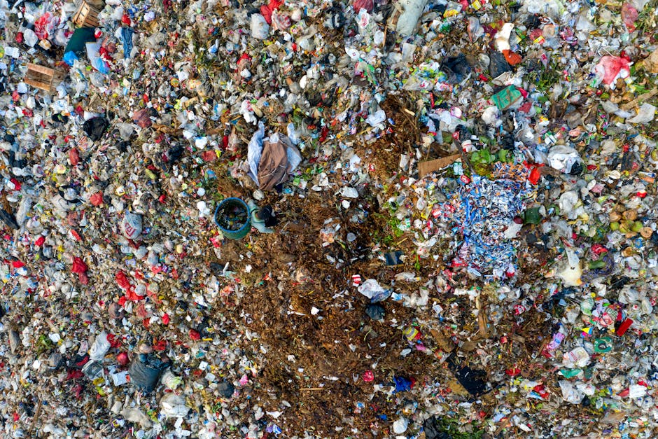 A large outdoor landfill site filled with a dense layer of mixed waste materials, including plastic bottles, paper, cardboard, and food packaging, scattered across the ground. In the foreground, there is a visible patch of exposed brown soil and compost-like organic waste. Several plastic containers and discarded items are irregularly spread throughout the pile, with some partially buried beneath others. The waste appears to be piled onto a gravel or dirt surface, surrounded by other debris and bits of refuse. Natural lighting creates slight shadows across the scene, highlighting the varied textures and colors of the waste, which range from bright plastics to duller paper and organic matter. The environment suggests an area designated for waste collection or disposal, potentially managed by independent rubbish removal services such as Waste Collection Pimlico, focusing on bulk waste clearance and rubbish removal from large-scale unauthorised dumps. The overall image emphasizes the clutter and disorder typical of unmanaged waste sites in urban or suburban settings.